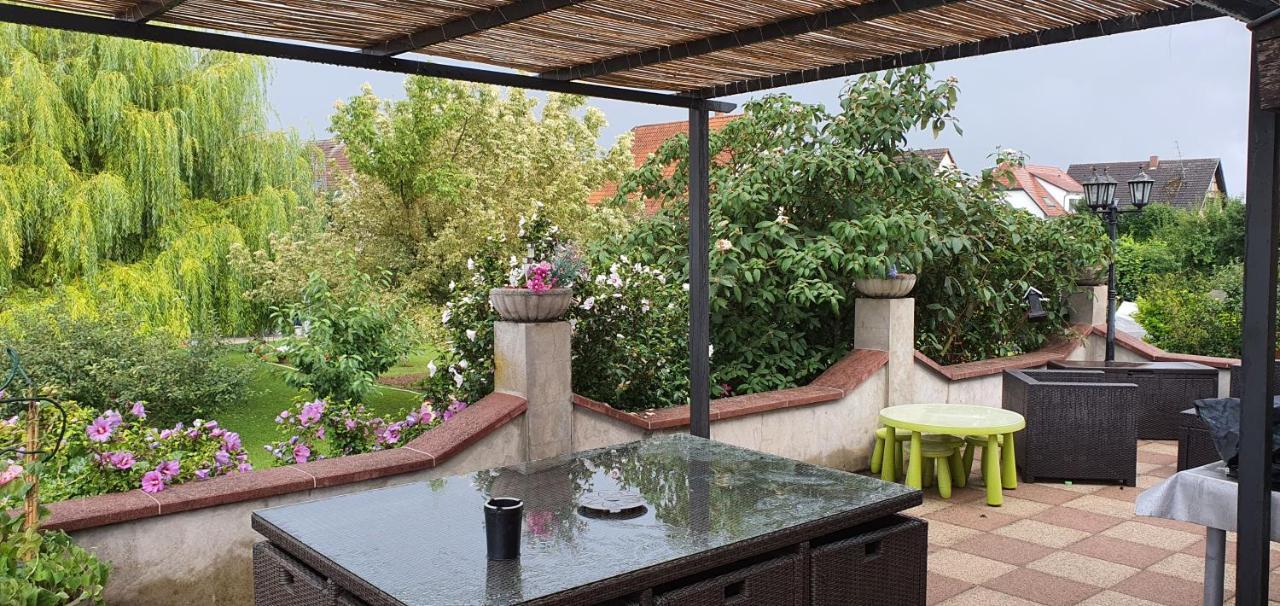 Maison De Vacances Avec Piscine, Proche Strasbourg Et Europa Park Sand Dış mekan fotoğraf