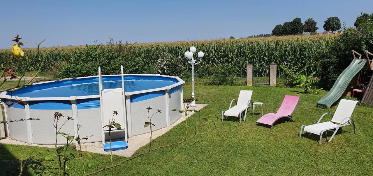 Maison De Vacances Avec Piscine, Proche Strasbourg Et Europa Park Sand Dış mekan fotoğraf